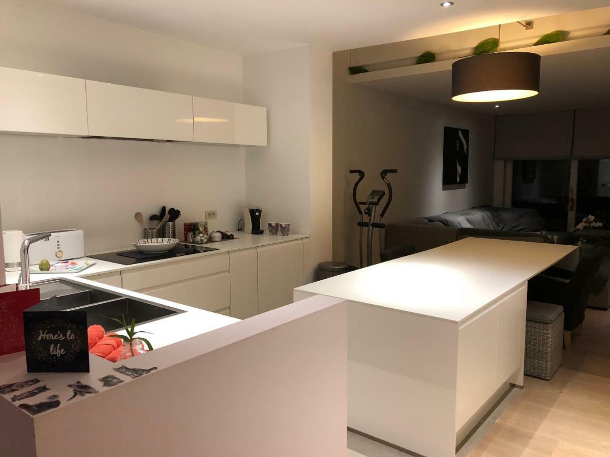 Home Bruges Cosy Comfort Modern Couple Privacy Walking Distance City Center Kitchen Terrace Garden エクステリア 写真